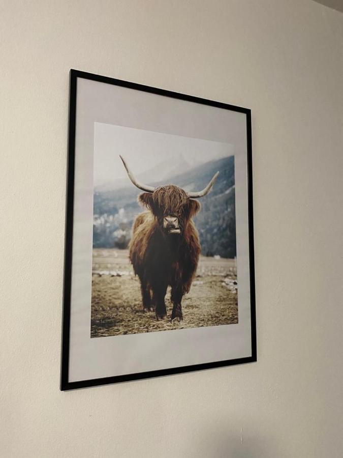 Cerny Tulipan - Apartman 3 Plzeň Buitenkant foto